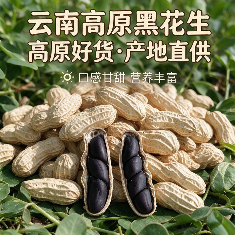 云南黑花生黑皮花生富硒带壳原味甜特产2026年货袋装新货晒干食用