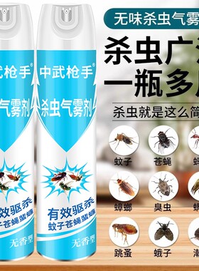 杀虫剂气雾剂家用室内灭蚊子蟑螂