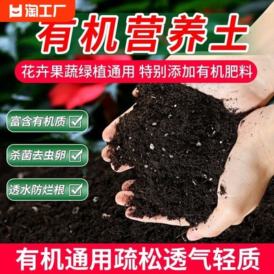 营养土花土通用型养花种菜土家用多肉土专用土有机种植泥土壤发酵
