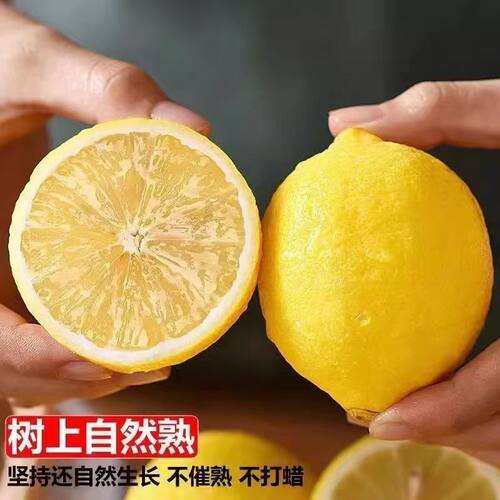 安岳黄柠檬新鲜水果皮薄当季香水甜青四川柠檬奶茶小金桔