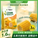 15左右【田园知己】五寨黄糯玉米黄糯8支