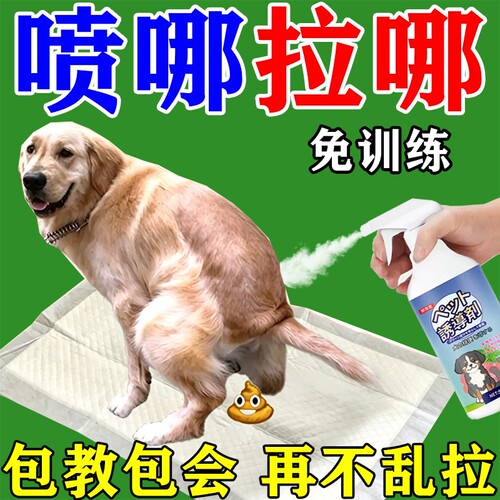 狗狗定点上厕所排便神器训练狗狗大小便防止狗狗乱拉屎拉尿诱导剂