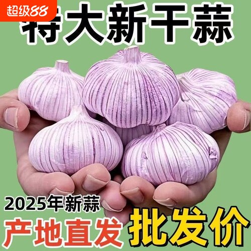 【超便宜】山东大蒜头新干蒜金乡正宗紫白皮大蒜新鲜大蒜头晾商用