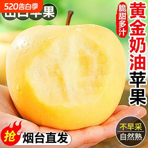 山东特级烟台黄金奶油苹果