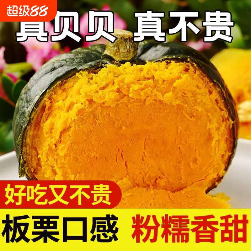 正宗新鲜板栗味贝贝小南瓜粉糯香甜宝宝辅食低脂健身蔬菜现摘包邮
