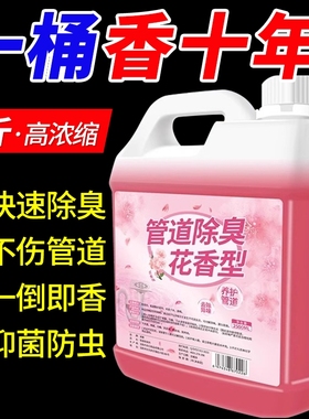 下水道除臭去异味剂管道厨房卫生间厕所地漏反味清新神器防臭持久
