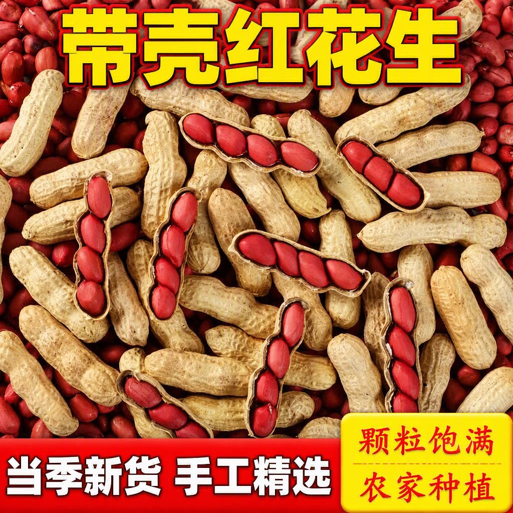 红皮带壳生花生新货薄皮新鲜原味晒干农家种植花生五谷杂粮当季图片