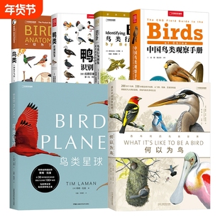 中国国家地理鸟类图鉴百科中国鸟类观察手册 鸟类行为图鉴 鸭类识别图鉴 何以为鸟 鸟类星球 鸟类一切为了飞行