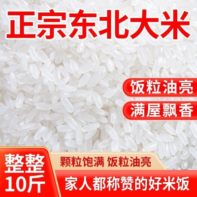 【新米】东北寒地香米5kg10斤东北大米农家新米产地直发香米