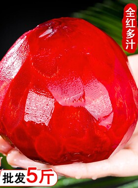新鲜甜菜根全红多汁现挖甜菜头