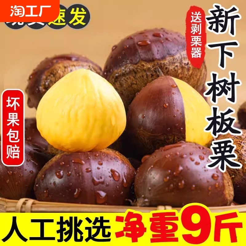 1500g 2024���ʵ�������5�����������۴���ڰ���Ұ����Ʊ ����׶��10��