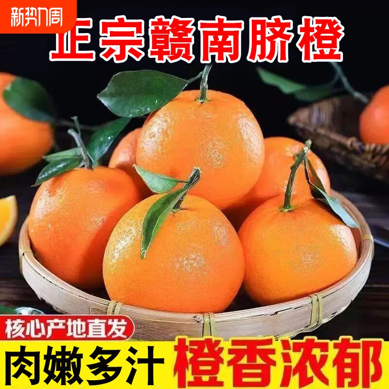 正宗赣南脐橙新鲜橙子当季水果果冻冰糖甜橙大果整箱包邮现摘阳光