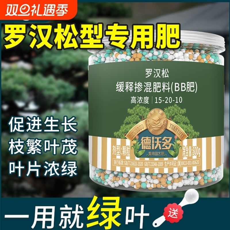 罗汉松专用肥缓释肥泰山松雀舌四季大阪松松树营养液盆景通用肥料