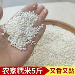 贵州农家糯从江香禾糯米圆粒优质自种黔东南特产传统糯谷简装