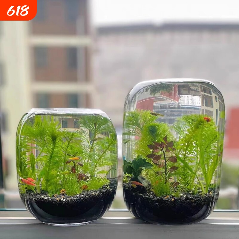 生态瓶微景观鱼小型小鱼缸桌面造景观赏鱼虾diy创意礼物生态鱼缸