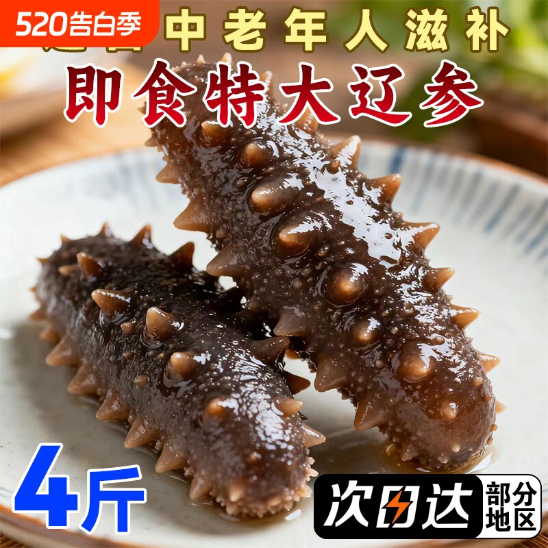 即食海参大连辽刺参鲜活加工非干货顺丰冷链发货肉质Q弹特大参