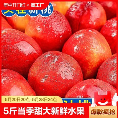 【首单直降】黄心油桃5斤当季大桃子新鲜水果整箱黄肉孕妇蜜脆桃