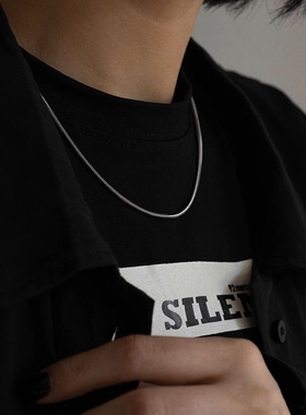 简约小众高级感钛钢蛇骨链项链男生潮牌百搭素链美式嘻哈女锁骨链