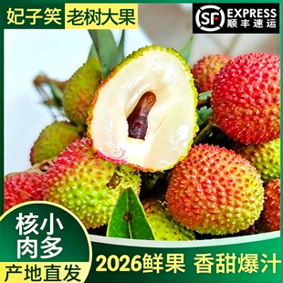 顺丰海南妃子笑荔枝2026新鲜水果产地直发当季老树果整箱现摘大果