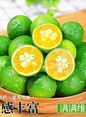 金桔小金桔正宗小青桔新鲜多汁香水柠檬奶茶店专用现摘小青橘批发