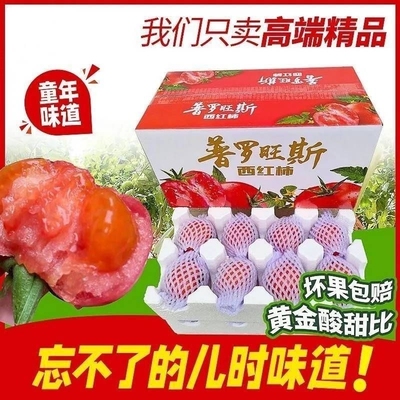 宁夏农家水果沙瓤西红柿普罗旺斯自然新鲜生吃纯天然孕妇番茄