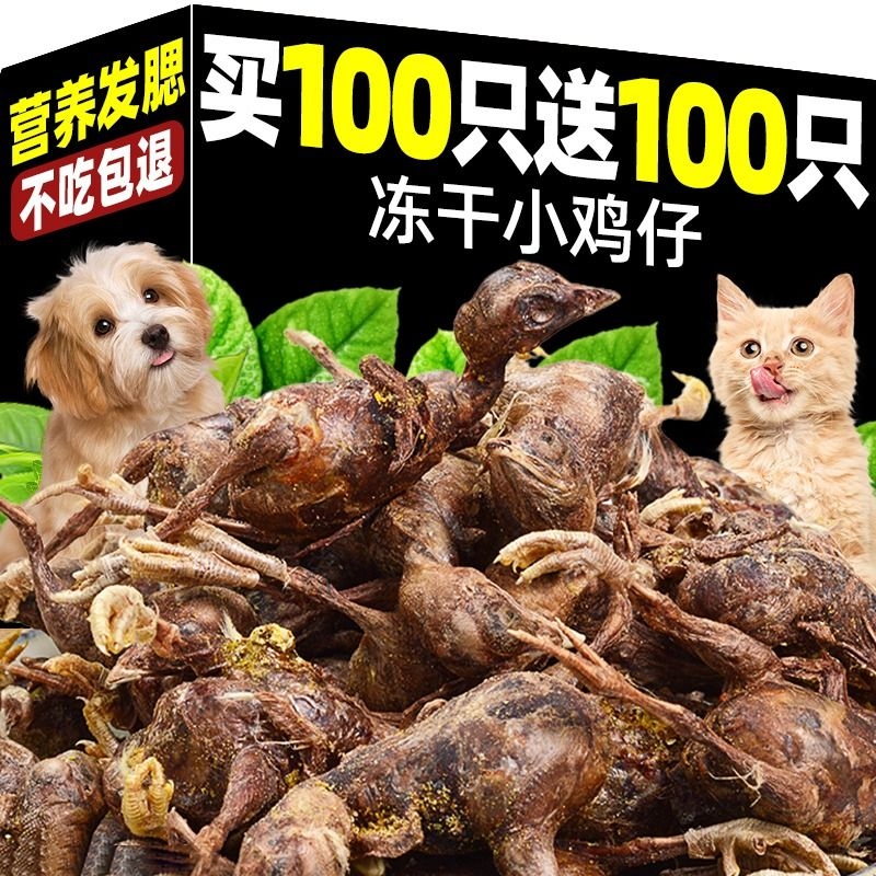 猫咪零食冻干动物鹌鹑冻干小鸡仔人参营养增肥发腮补钙狗狗零食