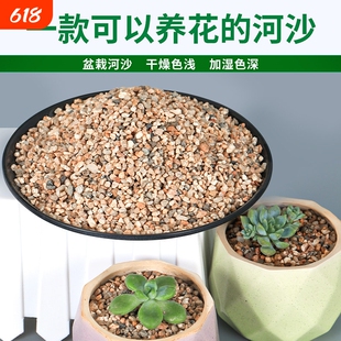 天然河沙沙子粗沙细沙沙土种花土壤种植土鱼缸底沙黄沙沙石营养土