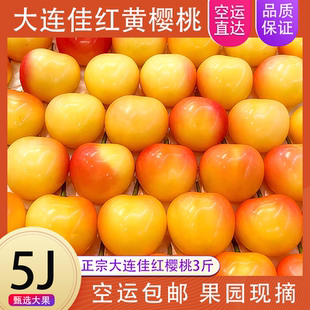 大连黄金大樱桃新鲜水果4j国产车厘子佳红美早礼盒5j雷尼尔黄蜜甜