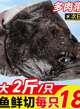 鸦片鱼碟鱼头新鲜冷冻超大整条深海比目鱼鲽鱼头鱼肉鲜活水产鱼刺