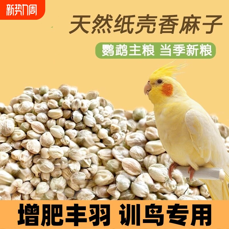 麻子鸟粮 纸壳麻子大粒牡丹鹦鹉粮奖励零食油纸皮火麻籽鸽粮鸟食