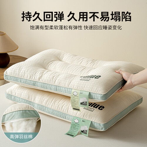 枕头护颈椎助睡眠枕芯家用一对成人男颈椎枕学生睡觉专用羽丝绒