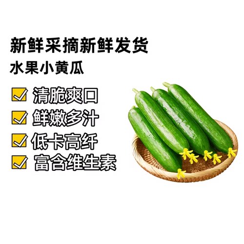 山东新鲜水果黄瓜小黄瓜小青瓜农家蔬菜现摘直发5斤包邮自提自种