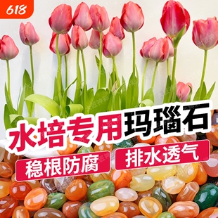 雨花石彩色玛瑙石天然五彩石水培花盆鱼缸造景装饰石头子铜钱草