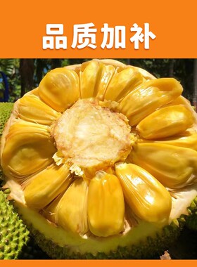 当季海南黄肉新鲜菠萝蜜一整个现摘干苞木菠萝特产热带水果