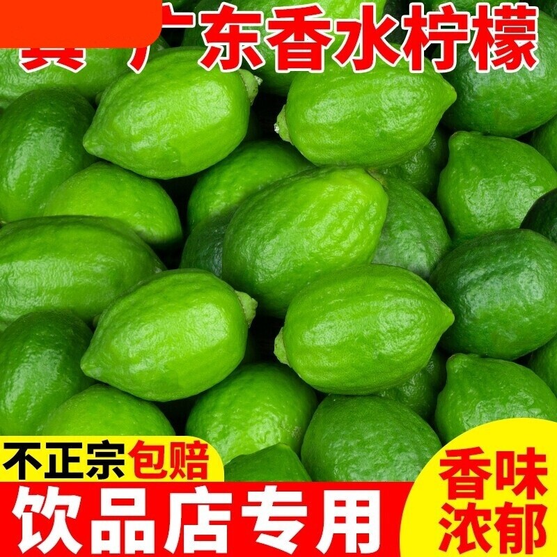 广东香水柠檬新鲜正宗青柠檬无籽大果一级果应当季水果奶茶店专用