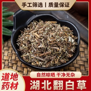 翻白草中药材正宗野生翻白草整根切段正品新鲜新货干品翻白草泡茶