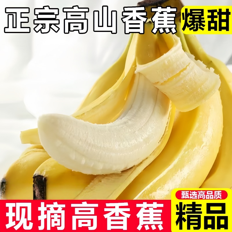 高山甜香蕉新鲜水果当季现摘大芭蕉小米蕉甜香蕉甜脆当季新鲜水果