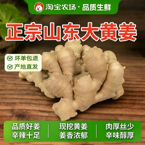 地头价正宗山东生姜大姜3斤/5斤新鲜农家老黄姜干姜大黄姜食用