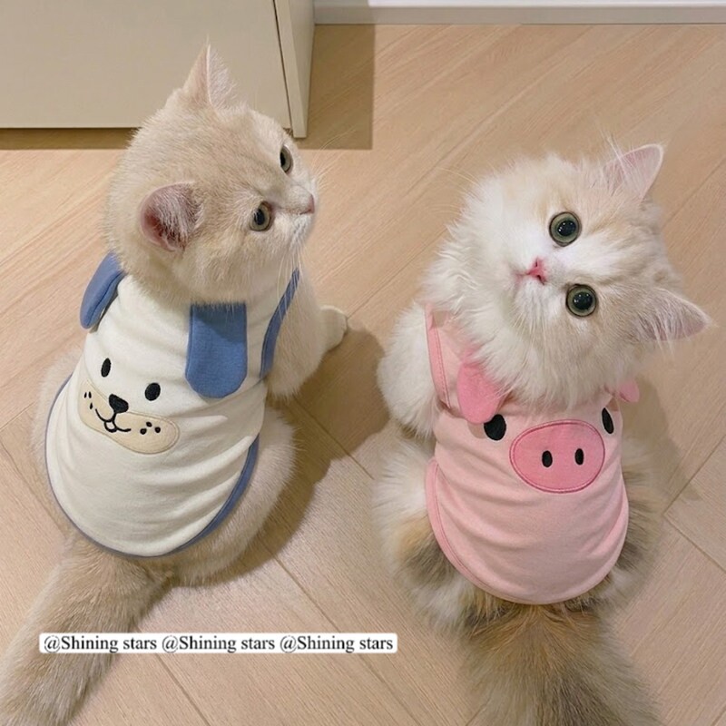 猫咪小猫可爱衣服春夏薄款防掉毛透气背心好看的宠物衬衫服装服饰