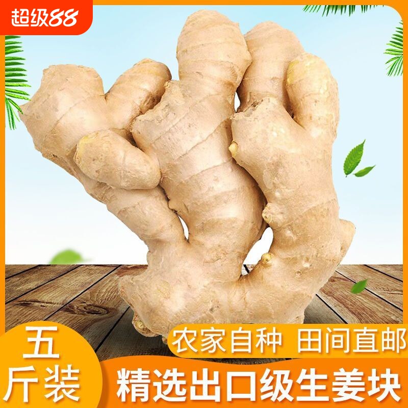 山东大姜优质生姜新鲜包邮图片