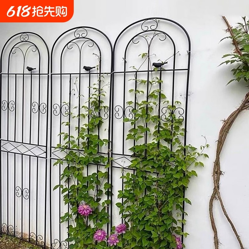 ��ɫ��������50��120�� ���������ټ�Ǿޱ�¼���ֲ��԰դ�����⻨��֧�Ÿ�����ֲ��������