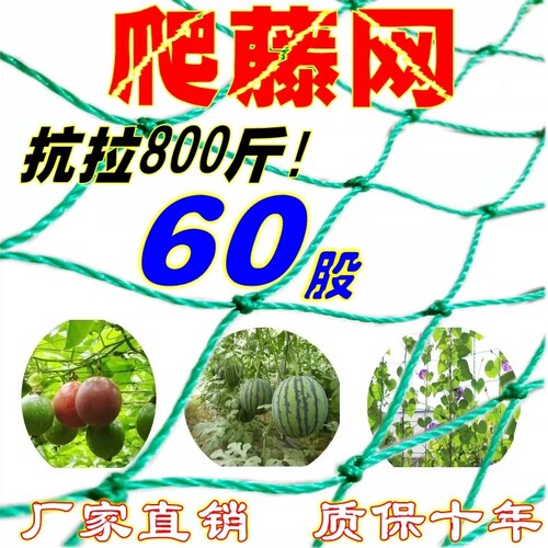 爬藤网植物攀爬网丝瓜豆角苦瓜月季蔬菜百香果专用种植网瓜果花园