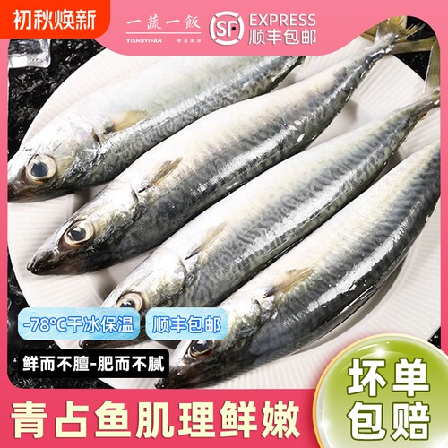 新鲜青占鱼鲐鲅鱼青花鱼深海冷冻水产生鲜食材顺丰包邮鲜活香煎