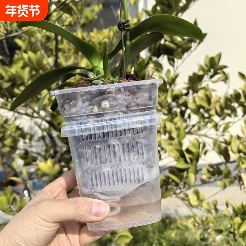 蝴蝶兰套盆透气控根半水培方花盆内外桶搭配套装控根盆桌面阳台,鲜花速递/花卉仿真/绿植园艺,花盆,淘宝优惠券,粉丝福利购,淘宝优惠卷