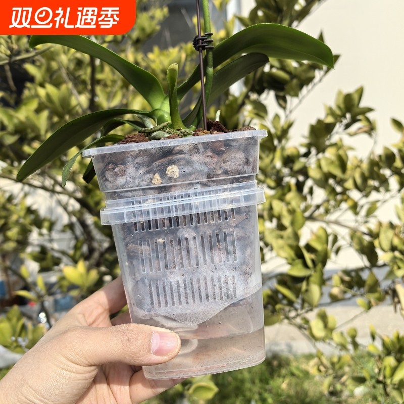 蝴蝶兰套盆透气控根半水培方花盆内外桶搭配套装控根盆桌面阳台