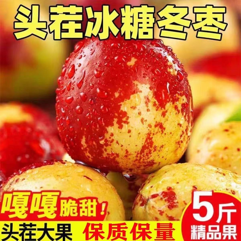 【现货速发】山东沾化冬枣新鲜脆甜冰糖大枣应季孕妇水果枣子批发