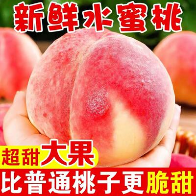 正宗水蜜桃软桃4.5斤新鲜水果当季孕妇水果桃子毛桃鲜果现摘红桃
