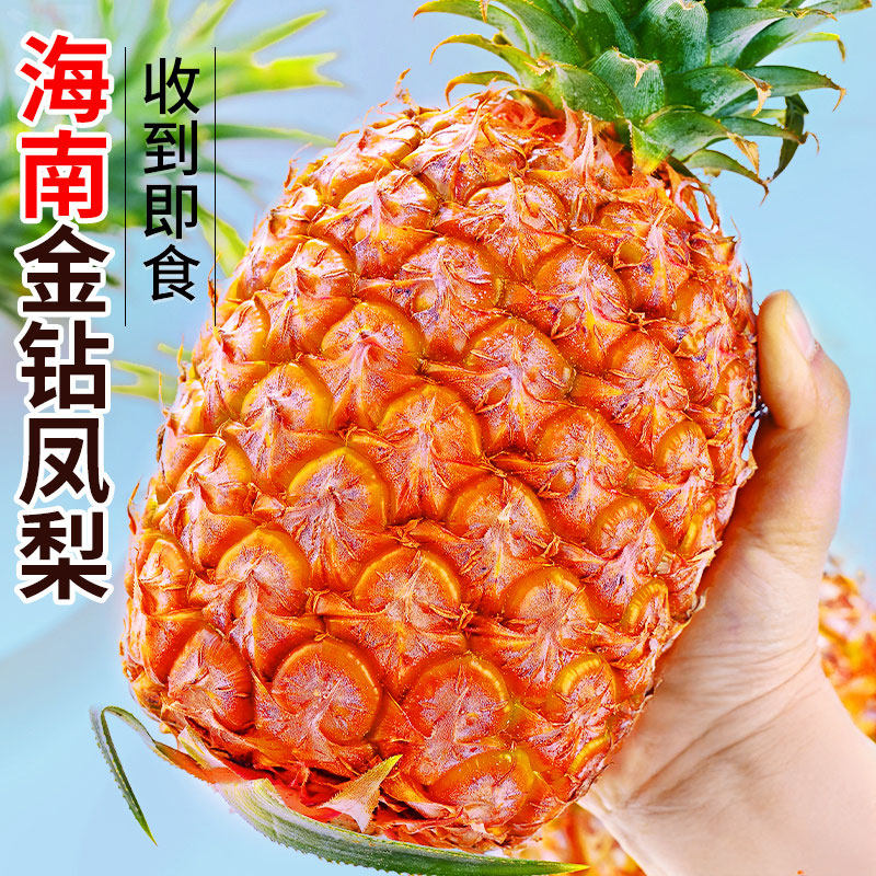 海南金钻凤梨新鲜水果当季芒果凤梨手撕菠萝特产脆甜大果应季整箱