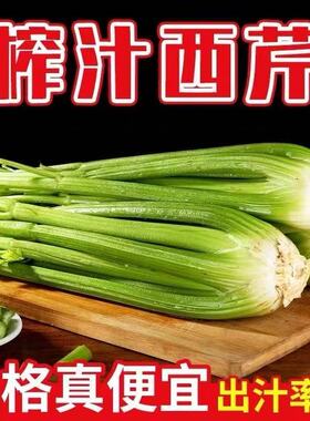 新鲜西芹可榨汁去叶西芹鲜嫩产地直发绿色蔬菜营养丰富嫩茎芹菜