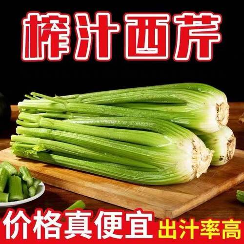 新鲜西芹可榨汁去叶西芹鲜嫩产地直发绿色蔬菜营养丰富嫩茎芹菜
